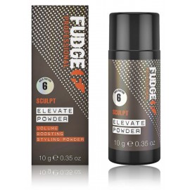 Fudge Professional Elevate Syling kohevust lisav puuder juustele 10 g