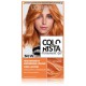 L'oreal Colorista Permanent Gel juuksevärv