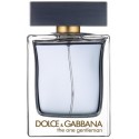 Dolce & Gabbana The One Gentleman EDT meestele