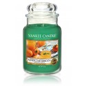 Yankee Candle Alfresco Afternoon lõhnaküünal