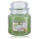 Yankee Candle Vanilla Lime ароматическая свеча