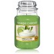 Yankee Candle Vanilla Lime lõhnaküünal