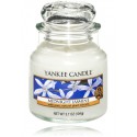 Yankee Candle Midnight Jasmine ароматическая свеча