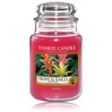 Yankee Candle Tropical Jungle lõhnaküünal