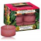 Yankee Candle Tropical Jungle lõhnaküünal