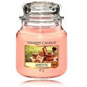 Yankee Candle Garden Picnic lõhnaküünal