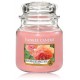 Yankee Candle Sun-Drenched Apricot Rose lõhnaküünal