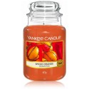 Yankee Candle Spiced Orange ароматическая свеча