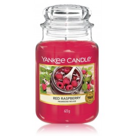 Yankee Candle Red Raspberry lõhnaküünal