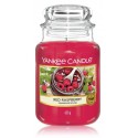 Yankee Candle Red Raspberry lõhnaküünal