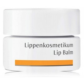 Dr. Hauschka Lip Balm huulepalsam