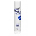 Artego Easy Care T Clarity Shampoo шампунь против перхоти