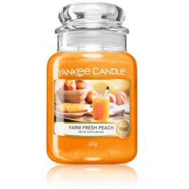 Yankee Candle Farm Fresh Peach aroomiküünal