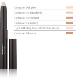 Dr. Hauschka Concealer peitekreem 2,5 ml.