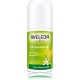 Weleda Citrus Roll-On 24H rull-deodorant sidruniekstraktiga