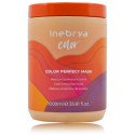 Inebrya Color Perfect Mask värvi kaitsev mask värvitud juustele