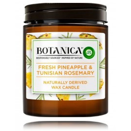 Air Wick Botanica Fresh Pineapple & Tunisian Rosemary lõhnaküünal
