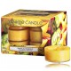 Yankee Candle Tropical Starfruit lõhnaküünal