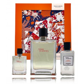 Hermes Terre D'Hermes komplekt meestele (100 ml EDT + 12,5 ml EDT + 40 ml habemeajamisjärgne palsam)