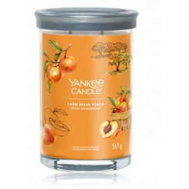 Yankee Candle Signature Tumbler Collection Farm Fresh Peach lõhnaküünal