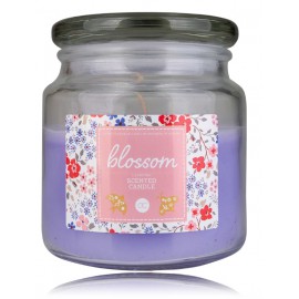 Accentra Blossom Lavender lõhnaküünal