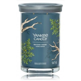 Yankee Candle Signature Tumbler Bayside Cedar aroomiküünal