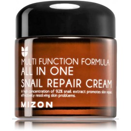 Mizon All In One Snail Repair Cream