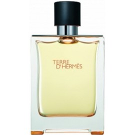 Hermès Terre d'Hermès habemeajamisjärgne hooldus meestele 100 ml