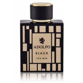 Adolfo Dominguez Black for Men EDT meestele