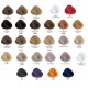 Alfaparf Evolution of the Color kauapüsiv professionaalne juuksevärv 60 ml