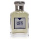 Aramis New West EDT meestele