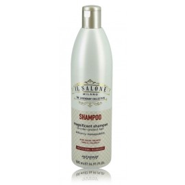 AlfaParf Salone Eternal шампунь для окрашенных волос