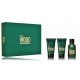 Dsquared2 Green Wood komplekt meestele (50 ml EDT + 50 ml dušigeel + 50 ml habemeajamisjärgne palsam)